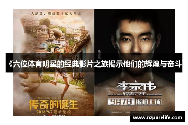 《六位体育明星的经典影片之旅揭示他们的辉煌与奋斗》